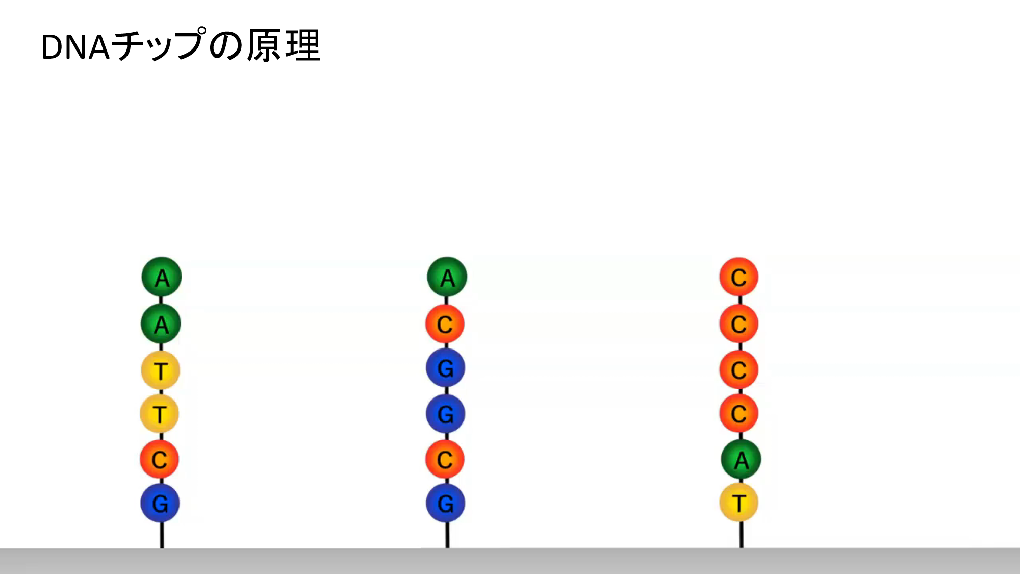 資料 特定非営利活動法人 バイオ計測技術コンソーシアム